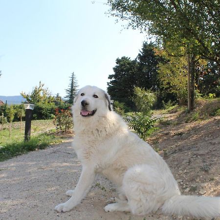 Le Logis De Berianne Apart otel Les Tourrettes Dış mekan fotoğraf