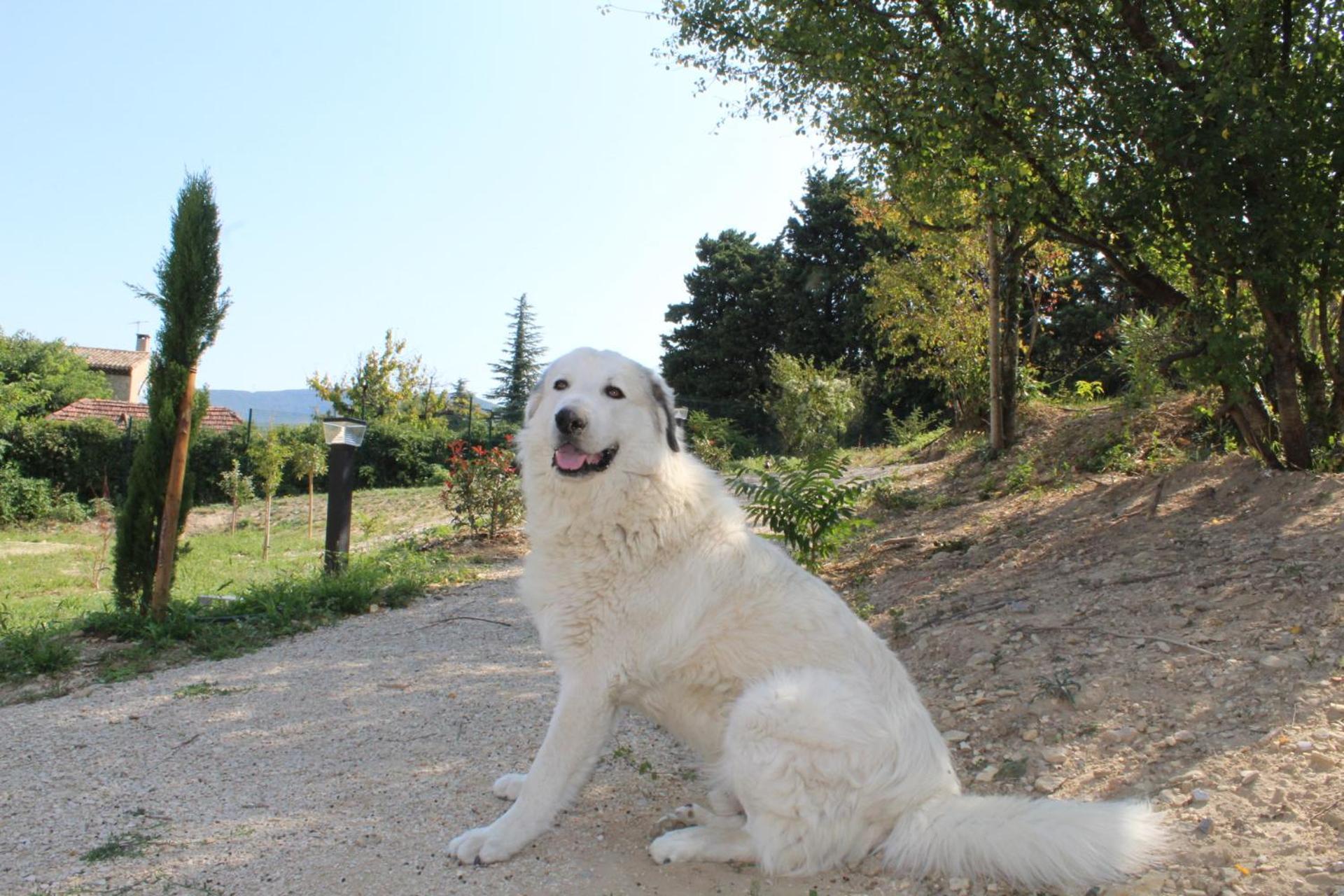 Le Logis De Berianne Apart otel Les Tourrettes Dış mekan fotoğraf